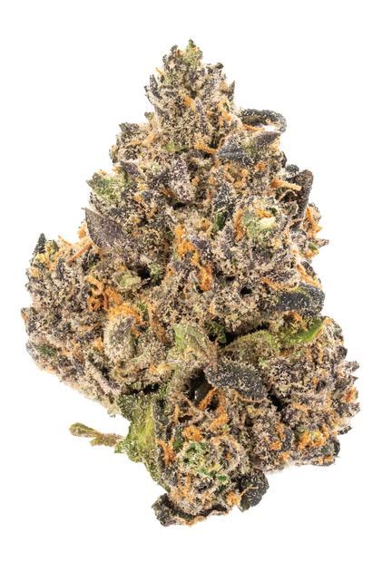 coco chanel strain|coco chanel strain hytiva.